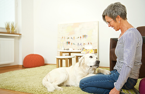 Hundegestützte Therapie Konstanz